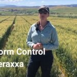 Unlocking the Power of Reddy Anna ID: Benefits, Features, and How It Transforms Digital Identity Management