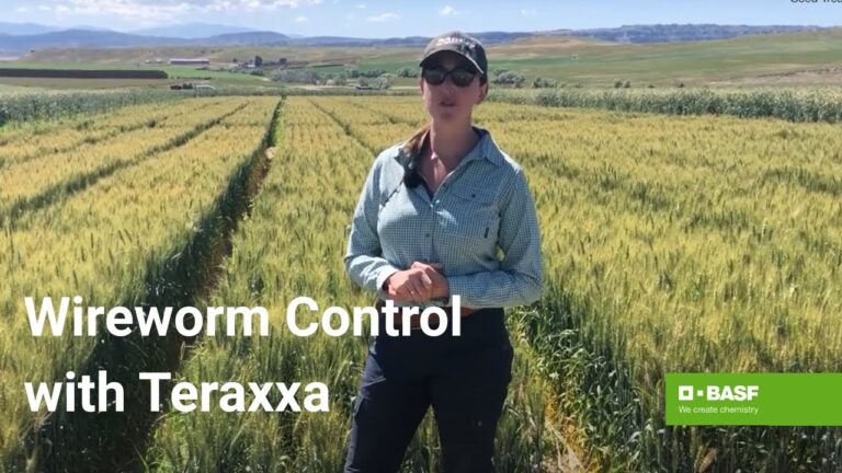 Unlocking the Power of Reddy Anna ID: Benefits, Features, and How It Transforms Digital Identity Management